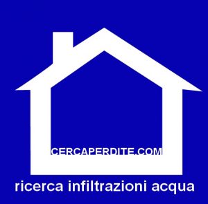 ricerca_infiltrazioni_guaina_tetto